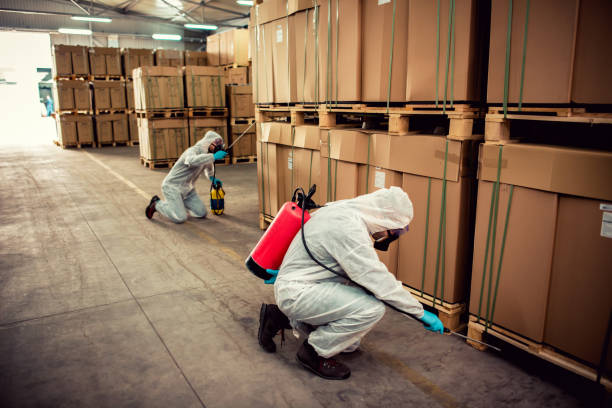 Best Pest Prevention Services  in Prosper, TX