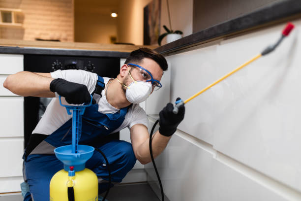 Wasp Removal Services in Prosper, TX