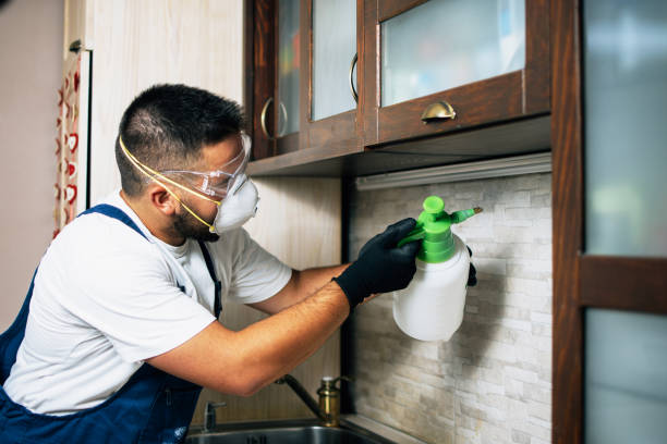Best Commercial Pest Control Services  in Prosper, TX