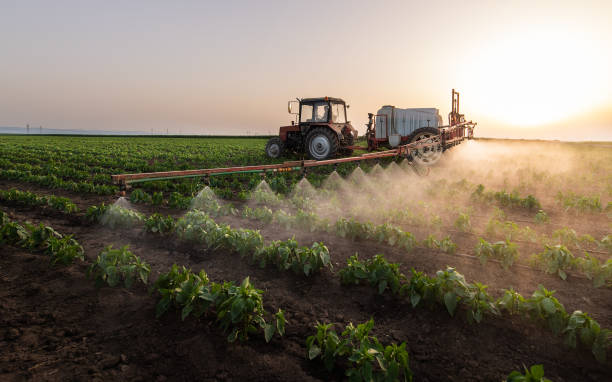 Trusted Prosper, TX Pest Control Experts