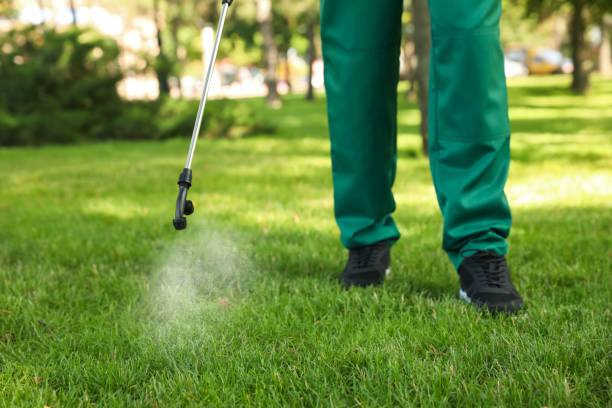 Best Residential Pest Control  in Prosper, TX