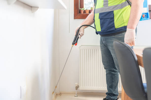 Best Local Pest Control Services  in Prosper, TX