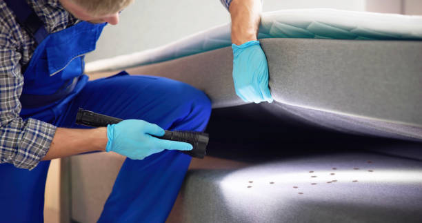 Best Pest Prevention Services  in Prosper, TX