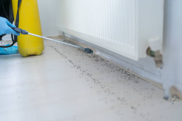 Best Commercial Pest Control Services  in Prosper, TX