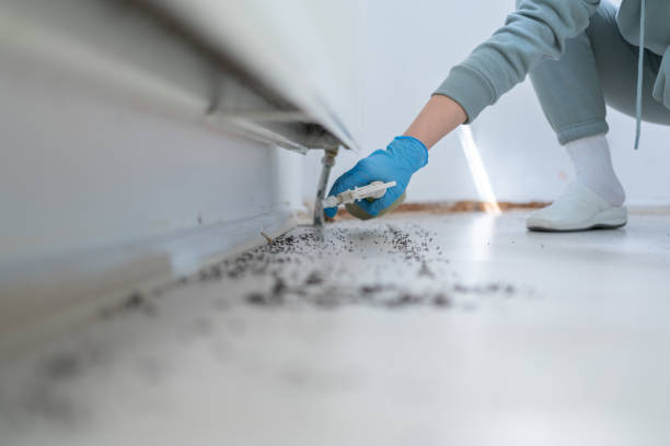 Pest Control for Restaurants in Prosper, TX
